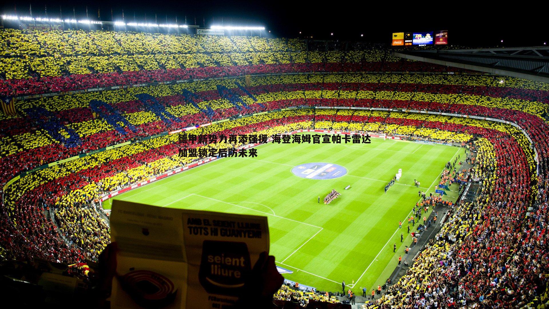 德甲新势力再添强援 海登海姆官宣帕卡雷达加盟锁定后防未来